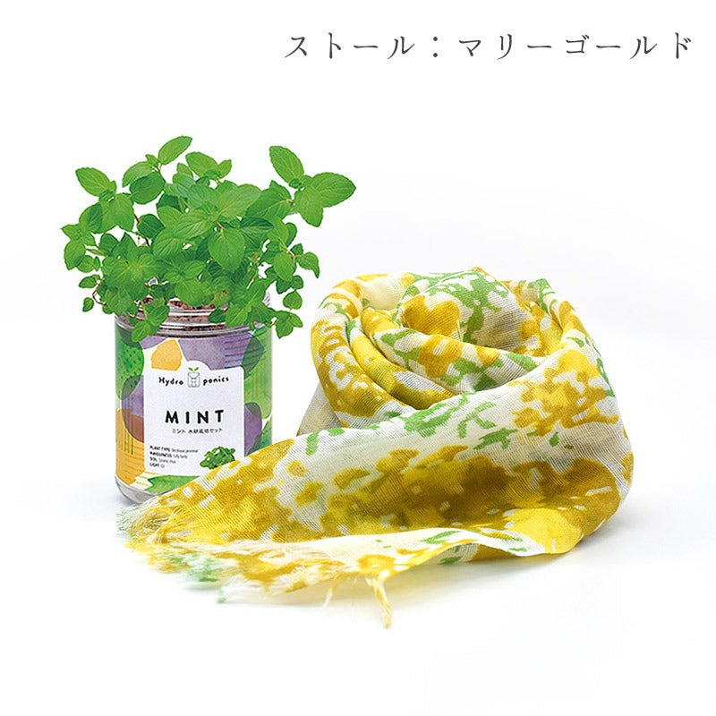 日本製 UV対策 ショール & ミント 栽培キット ギフトセット ストール 紫外線カット ラッピング済み