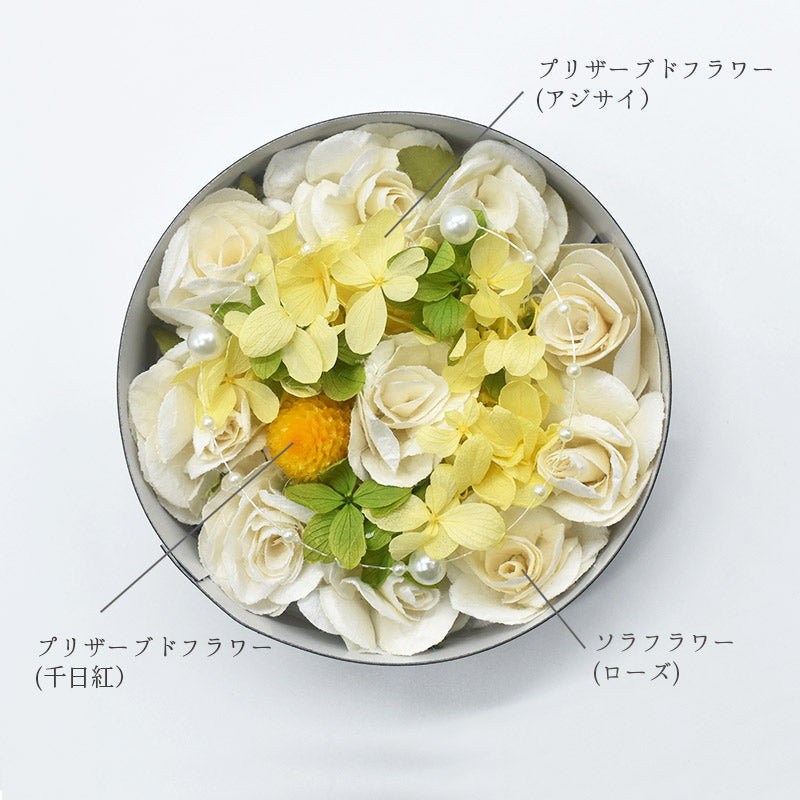 日本製 プリザーブドフラワー ソラフラワー ボックス ルーム