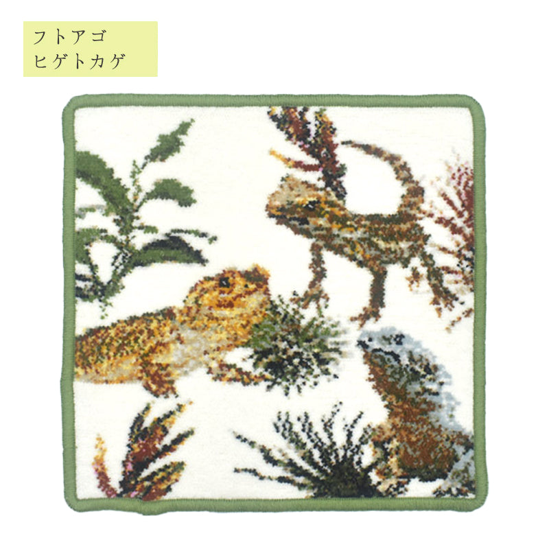 限定生産品 日本製 ヒョウモントカゲモドキ フトアゴヒゲトカゲ シェニール織 ハンカチ アーンジョー