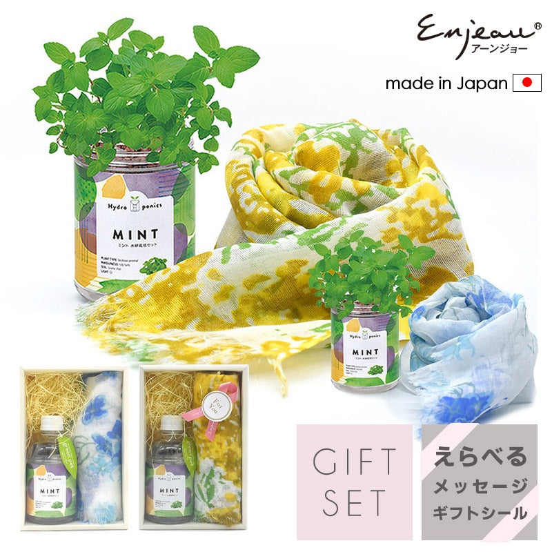 日本製 UV対策 ショール ＆ ミント 栽培キット ギフトセット ストール 紫外線カット ラッピング済み