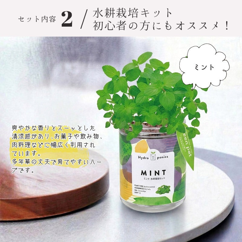 日本製 UV対策 ショール ＆ ミント 栽培キット ギフトセット ストール 紫外線カット ラッピング済み