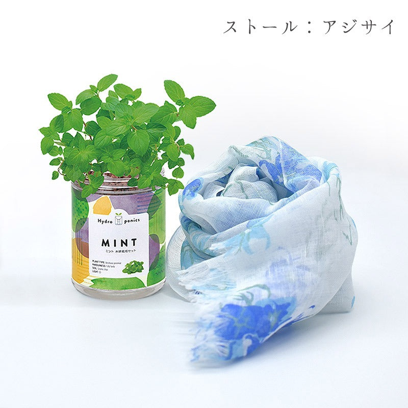 日本製 UV対策 ショール ＆ ミント 栽培キット ギフトセット ストール 紫外線カット ラッピング済み
