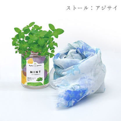 日本製 UV対策 ショール ＆ ミント 栽培キット ギフトセット ストール 紫外線カット ラッピング済み