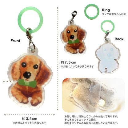 ※3個以上で送料無料※ 日本製 犬柄 めじるしチャーム マルチマーカー 目印 アンブレラマーカー 犬グッズ アーンジョー