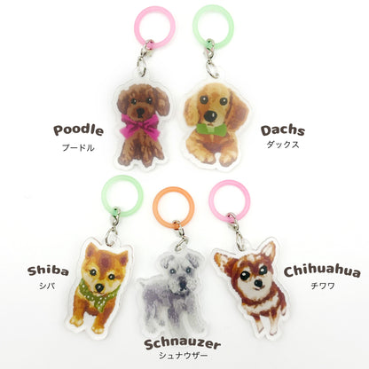 ※3個以上で送料無料※ 日本製 犬柄 めじるしチャーム マルチマーカー 目印 アンブレラマーカー 犬グッズ アーンジョー