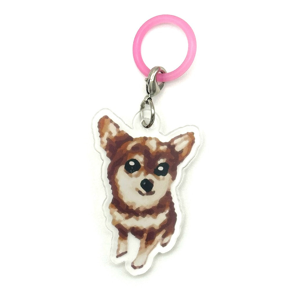 ※3個以上で送料無料※ 日本製 犬柄 めじるしチャーム マルチマーカー 目印 アンブレラマーカー 犬グッズ アーンジョー